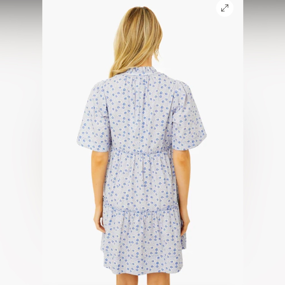 Tuckernuck Crawford Dress - Picture 4 of 11